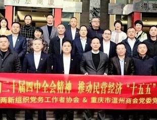 商会党建丨温商精神在山城闪耀——重庆温商：区域经济发展的重要力量