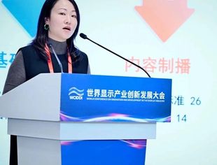 世界显示产业创新发展大会｜中国电子技术标准化研究院赵晓莺：超高清视频标准创新与实践