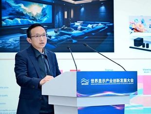 世界显示产业创新发展大会｜寰宇信任（北京）科技有限公司总经理蒋晓黎：ChinaDRM助力高品质家庭观影业务发展