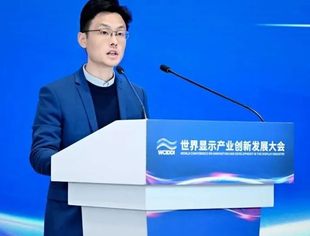 世界显示产业创新发展大会｜成都高新区发展改革局副局长吴军：打造超高清示范应用新场景