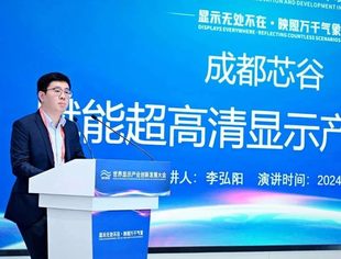 世界显示产业创新发展大会｜成都芯谷产业园发展有限公司：构建企业生态创新发展场景