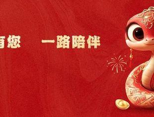 四川省超高清视频产业联盟 | 2024年度工作总览大事记回顾