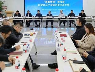 四川省超高清视频产业联盟参加“进解优促”面对面——新型显示产业链企业活动