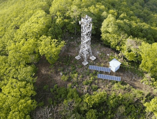 海思 | 智慧的“眼睛”，AI守护珍稀动物