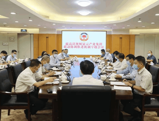 超高清视频显示产业集群联动协调推进机制专题会议召开
