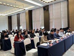 重庆市人民政府驻四川办事处举办数字政府数字经济专题培训会