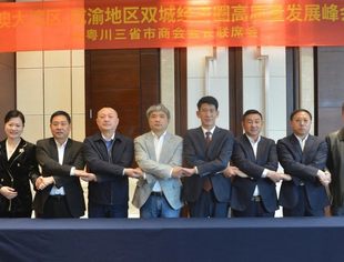 吕状文会长应邀参加首届粤港澳大湾区-成渝地区双城经济圈高质量发展峰会第一次筹备联席会