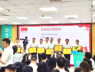 【喜报】我会党支部被评为先进基层党组织，谭国军书记荣获“优秀党务工作者”称号