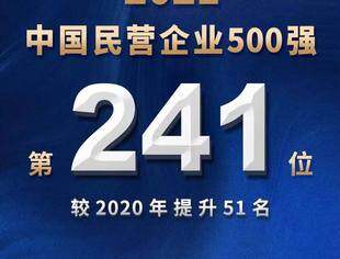 祝贺新鸥鹏连续9年上榜中国民企500强，排名相比去年大幅提升51位