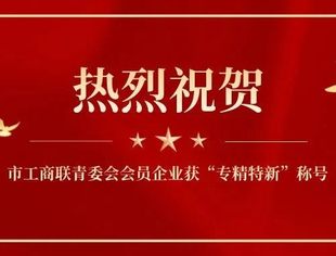 【热烈祝贺】市工商联青委会32家会员企业获评“专精特新”称号
