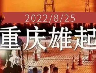 【同守护 英雄城】市工商联青委会助力抗疫救灾