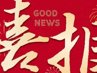 【热烈祝贺】市青委会会员企业上榜2022中国企业500强