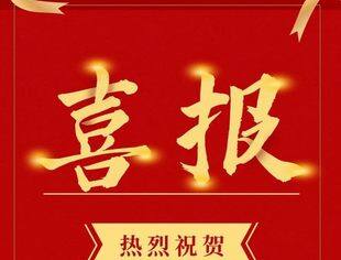 【热烈祝贺】市青委会13家会员企业上榜重庆市2022年“双百企业”