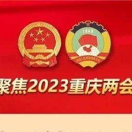 重庆市青年企业家热议“两会” 发出青年好声音