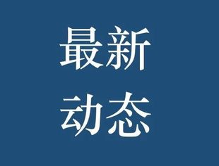 【对外交流】我会秘书处赴重庆市湖北商会、重庆市温州商会座谈交流