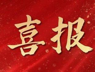 【热烈祝贺】市、区县10家青商会获评“2023特色示范商会”称号