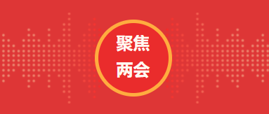 【新渝商 向前进 再出发】我会30名青年企业家代表参加重庆两会