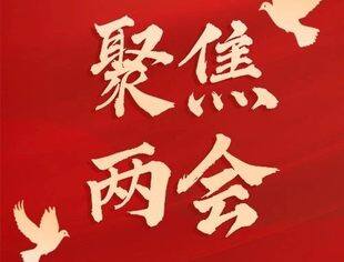 【两会好声音】青年企业家为建设新重庆建言献策