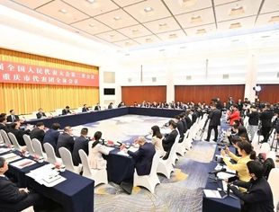 我会蒋凌峰、陈玮出席十四届全国人大二次会议