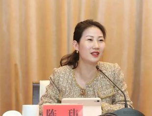 陈玮：新重庆 新征程 新出发