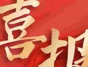 【喜报】重庆市青年企业家商会及15家会员企业入榜2024年全市清廉民企、清廉商会建设重点培育“双百”名单