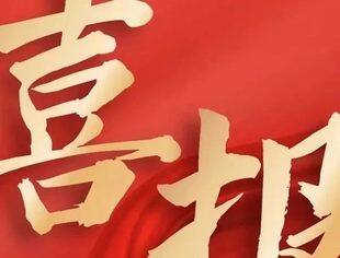 【热烈祝贺】我会3家会员企业上榜2024中国企业500强