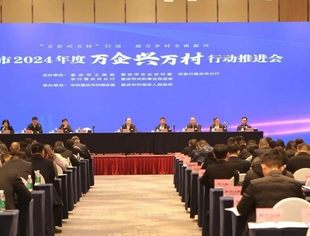 【商会动态】我会参加重庆市2024年度“万企兴万村”行动推进会