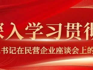 【牢记殷殷嘱托 感恩奋进正当时】重庆市青年企业家商会深入学习贯彻习近平总书记在民营企业座谈会上的重要讲话精神