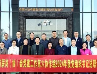 【党建】重庆市工商联商（协）会党建工作第六协作组书记述职评议会议顺利举行