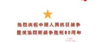 【商会动态】重庆市青年企业家观看“庆祝中国人民抗日战争暨世界反法西斯战争胜利80周年主题大会”心得体会