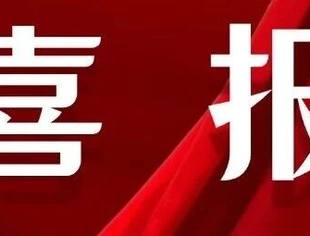 【喜报】我会荣获2025年全国“四好”商会建设优秀案例