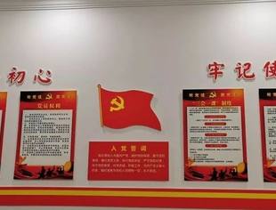 市青委会党支部督查第二批党建试点工作