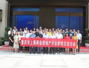 重庆市上海商会房地产分会信息交流会成功举办