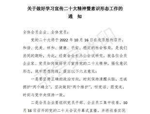 关于做好学习宣传二十大精神暨意识形态工作的通知