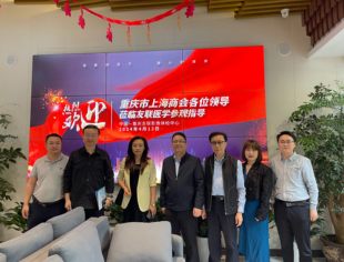 重庆市上海商会开展“干在实处、走在前列”大走访大谈心活动纪实（第五组）
