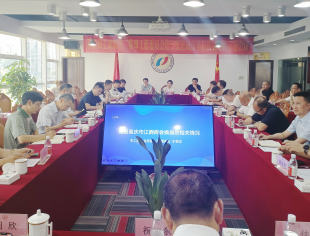 市工商联第二监事工作委员会召开专题会议