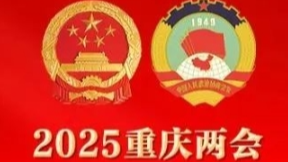 【两会关注】一图速览六届重庆市政协常委会工作报告