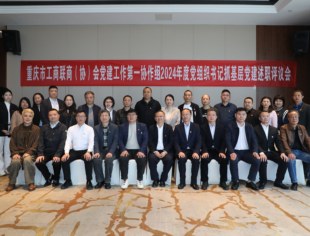 【党建动态】亮成绩、找差距、明方向——重庆市工商联商（协）会党建工作第一协作组召开2024年度党组织书记抓基层党建述职评议会