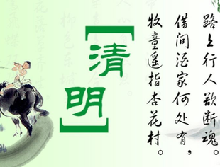 【二十四节气】风拂新绿   雨润清明
