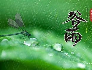 【二十四节气】谷雨初晴  春和景明