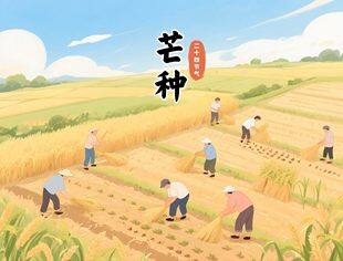 【二十四节气】芒种时节  暑气渐彰
