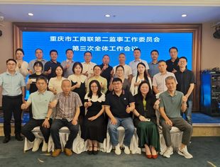 筑牢合规防线 提升监督效能--重庆市工商联第二监事工作委员会第三次全体工作会议顺利召开