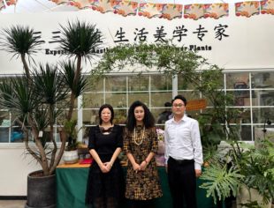 重庆市上海商会第241次会长接待日纪实