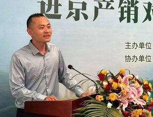【商会洞见】李卓澄副会长：广西茶叶的两大提升方向