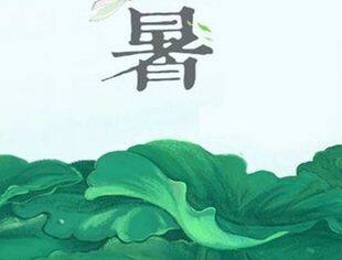 大署|大暑至盛，万物荣华