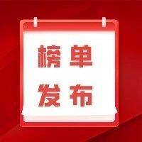 2024广西民营企业100强榜单