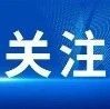 作为全国林业领域经贸活力最强区域之一 广西积极参与推动全球林产品贸易畅通高效