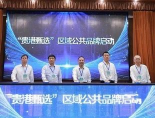 贵港强化区域公共品牌建设 “贵港甄选”亮相发布