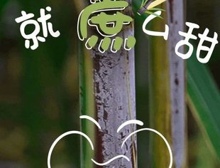 （嚼嚼嚼）全国到底哪里“最甜”？