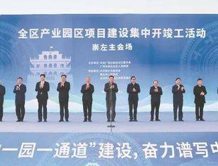 刘宁出席全区产业园区项目建设集中开竣工活动并主持召开自治区产业园区发展工作领导小组会议 蓝天立讲话